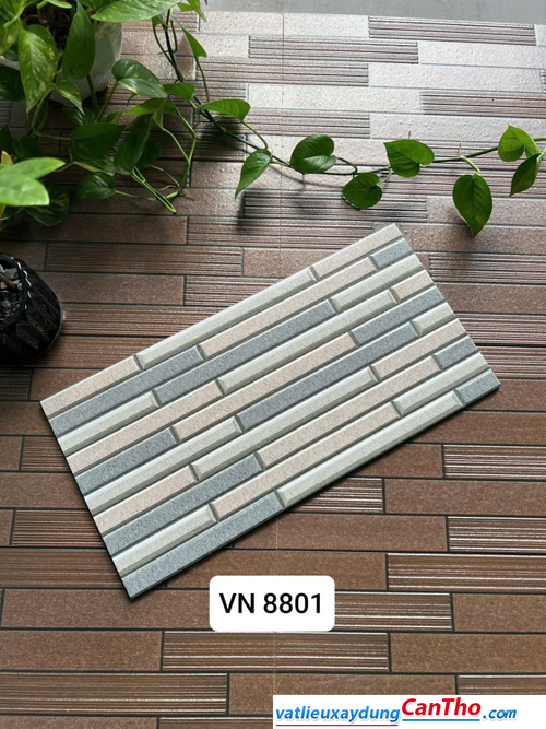 Việt Nhật VN 8801